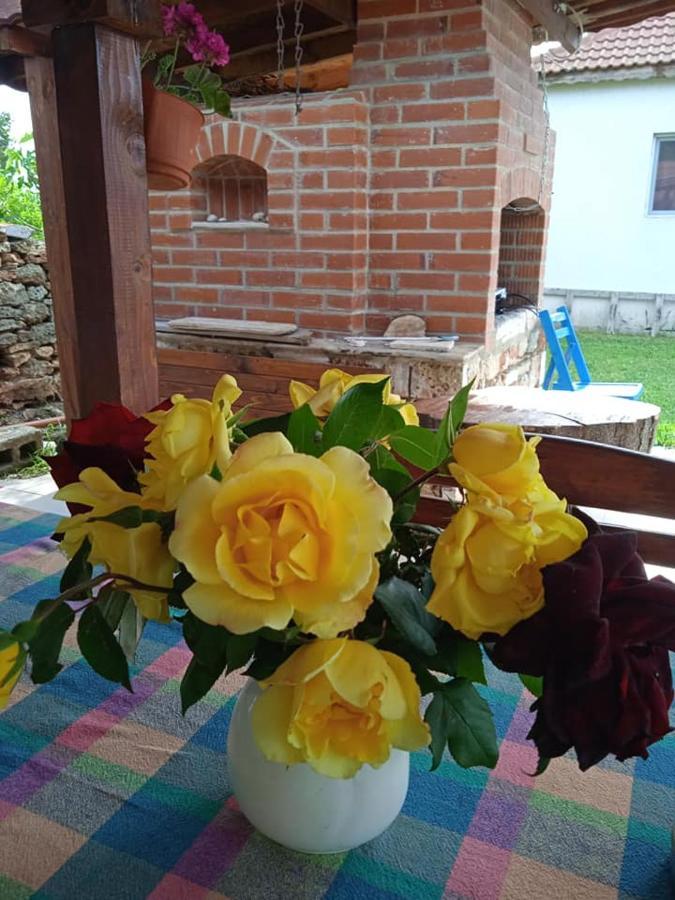 Hotel Draganov House Durankulak Zewnętrze zdjęcie